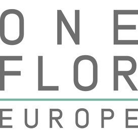 Oneflor Bodenbelag