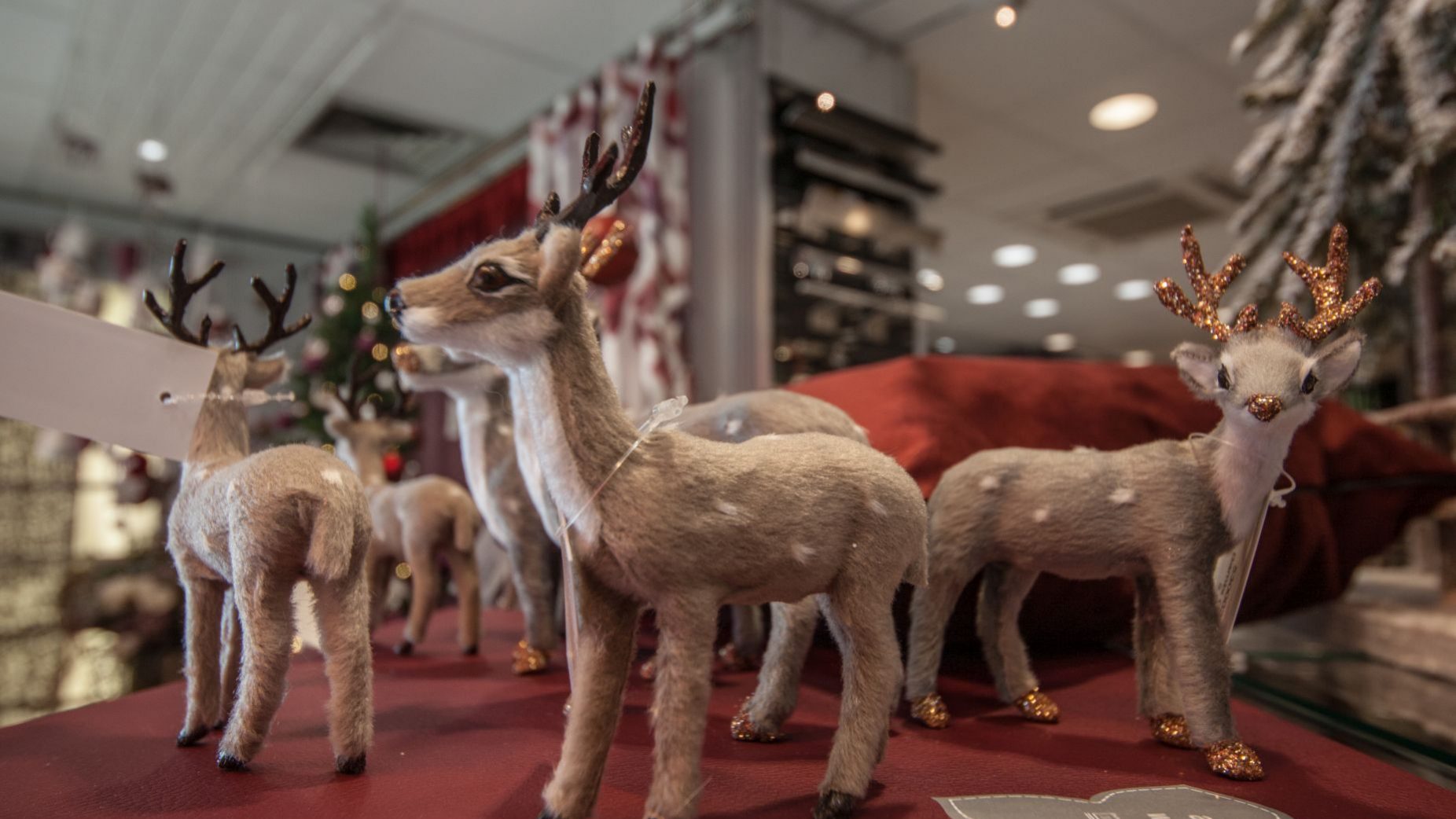 Rentier Figuren Ege Raum & Design